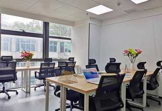 陕西花生秧草料价格