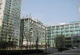 河南垫底水门汀类型